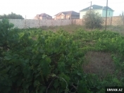 Satılır 10 sot torpaq Pirşağı