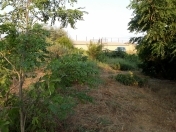 Satılır 36 sot torpaq Albalı