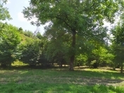 Satılır 10 sot torpaq Qəbələ