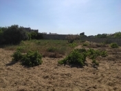 Satılır 12 sot torpaq Bilgəh