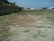 Satılır 3 sot torpaq Saray