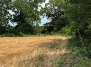 Satılır 52 sot torpaq Xaçmaz