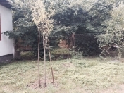 Satılır 7.5 sot torpaq Qəbələ