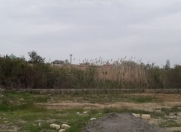 Satılır 22 sot torpaq Novxanı