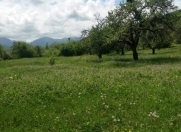 Satılır 23 sot torpaq Quba