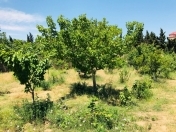 Satılır 17 sot torpaq Nardaran
