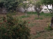 Satılır 5 sot torpaq Binə