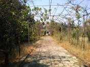 Satılır 17 sot torpaq Novxanı