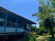 Satılır 250 sot torpaq Qəbələ