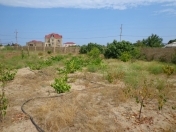 Satılır 4.5 sot torpaq Saray