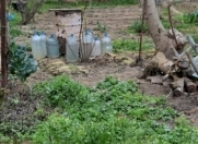 Satılır 4 sot torpaq Badamdar