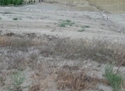 Satılır 3 sot torpaq Badamdar