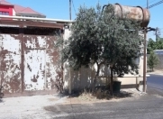 Satılır 1.9 sot torpaq Badamdar