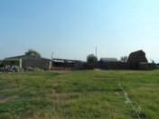 Satılır 130000 sot torpaq Yevlax