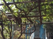 Satılır 35 sot torpaq Maştağa