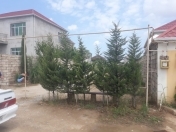 Satılır 2 sot torpaq Dədə Qorqud parkı