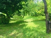 Satılır 80 sot torpaq Qəbələ