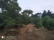 Satılır 13.5 sot torpaq Mərdəkan