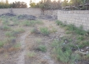 Satılır 30 sot torpaq Nardaran