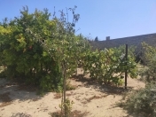 Satılır 12 sot torpaq Bilgəh