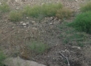 Satılır 11 sot torpaq Maştağa