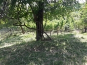 Satılır 30 sot torpaq İsmayıllı