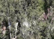 İcarəyə verilir 3 otaqlı 80 m2 köhnə tikili Gənclik m.