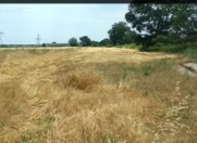 Satılır 500 sot torpaq Xaçmaz