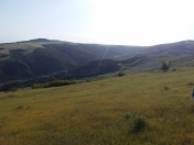 Satılır 18 sot torpaq Şamaxı