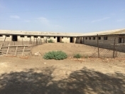 Satılır 100000 sot torpaq Şəmkir