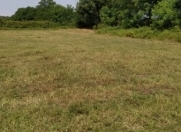 Satılır 71 sot torpaq Qəbələ