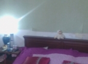 Satılır 1 otaqlı 50 m2 həyət evi Biləcəri