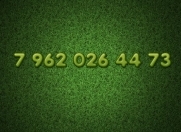 Satılır 4 sot torpaq Şəki