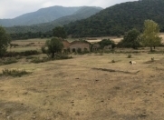 Satılır 275 sot torpaq Balakən