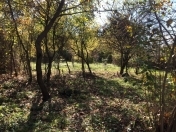 Satılır 10000 sot torpaq Qəbələ