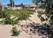 Satılır 12 sot torpaq Maştağa