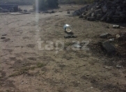 Satılır 12 sot torpaq Albalı