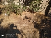 Satılır 6 sot torpaq Mərdəkan