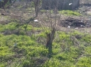 Satılır 12 sot torpaq Şüvəlan Park ticarət mərkəzi