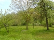 Satılır 26 sot torpaq Xaçmaz