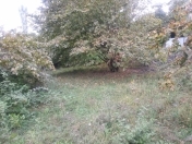 Satılır 30 sot torpaq Oğuz