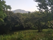 Satılır 6 sot torpaq Qax