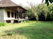 Satılır 20 sot torpaq Qəbələ