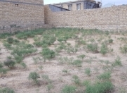 Satılır 3 sot torpaq Masazır