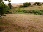 Satılır 16 sot torpaq Şamaxı