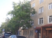 Satılır 3 otaqlı 80 m2 köhnə tikili Elmlər Akademiyası m.