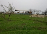 Satılır 8 sot torpaq Tovuz