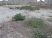 Satılır 3 sot torpaq Badamdar