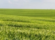 Satılır 4000 sot torpaq Xaçmaz