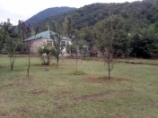 Satılır 10 sot torpaq Qəbələ